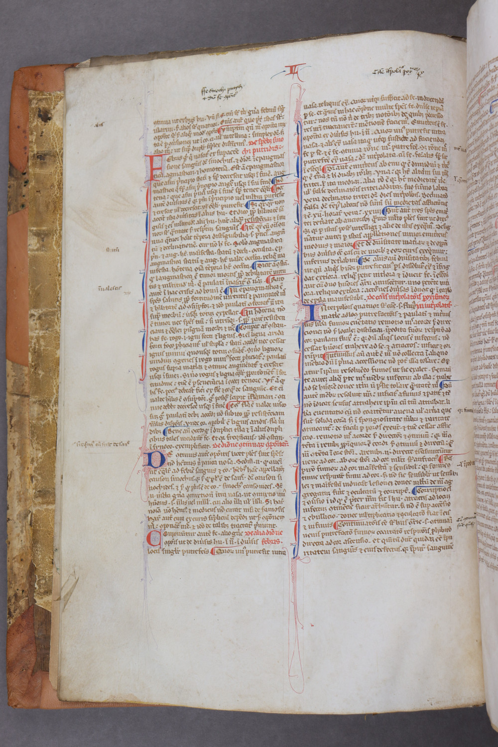 Folio 3 verso